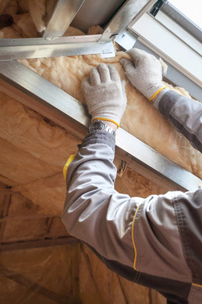 Best Specialty Insulation in Wallis, TX